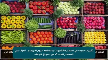تغيرات جديدة في أسعار الخضروات والفاكهة اليوم الأربعاء.. تعرف على الأسعار المحدثة من أسواق الجملة